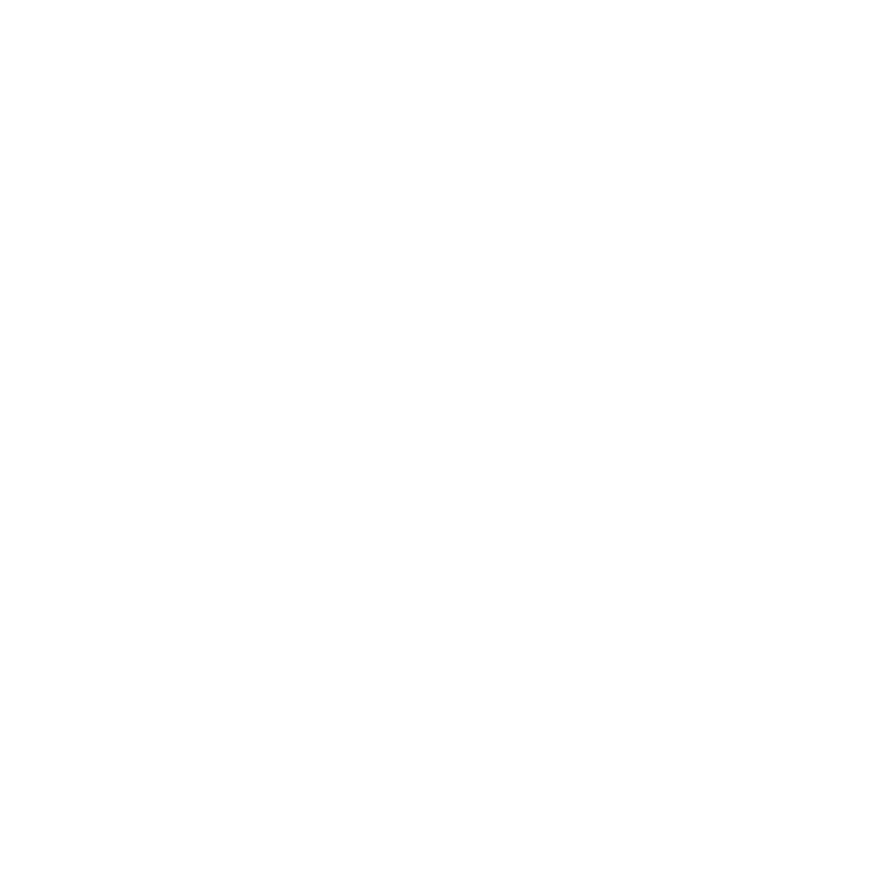 honda21